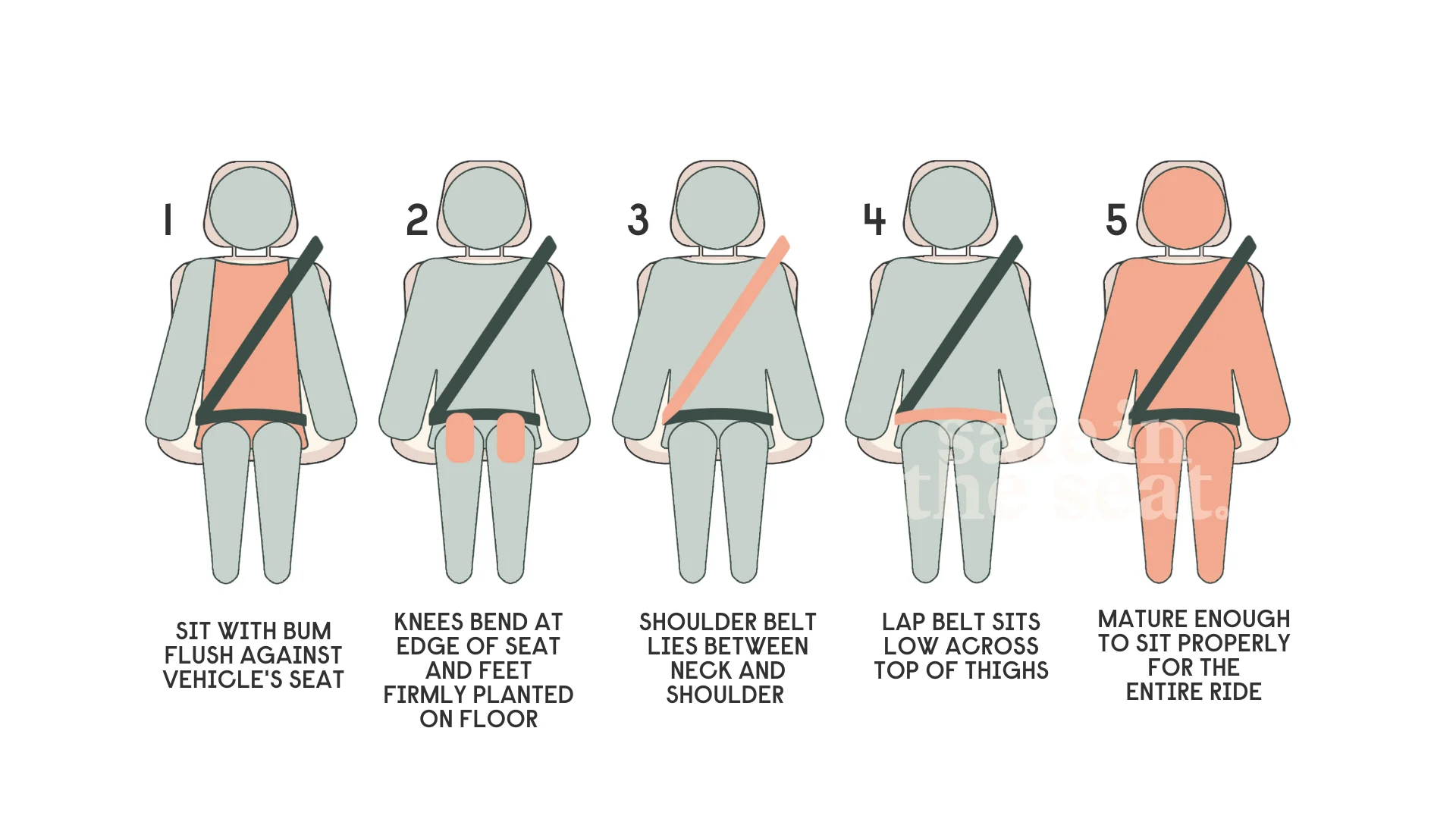 Safe in the Seat five-step seat belt fit test